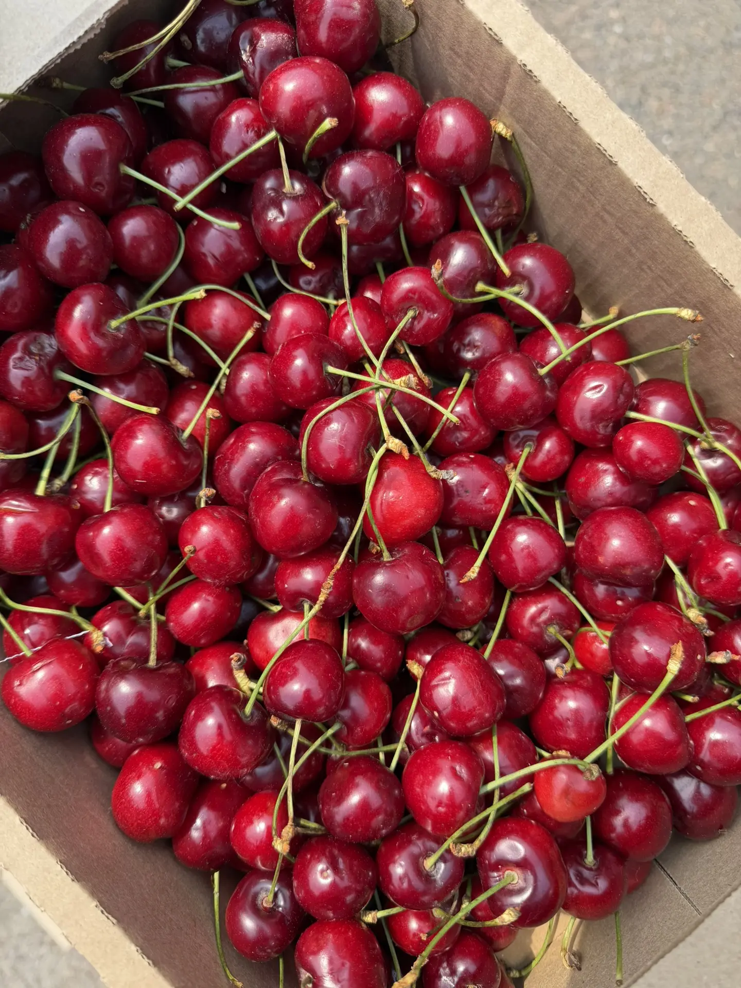 ✅ Черешню🍒, абрикос 🍑
и масло отгрузили. 

🚚 Доставка сейчас межгород, город в часы раздачи 

🛍️