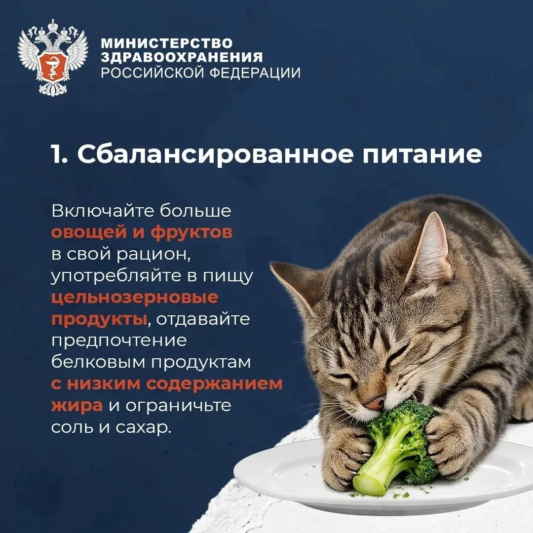 📍Пять привычек, которые важно сформировать в молодости, чтобы сохранить здоровье на до...