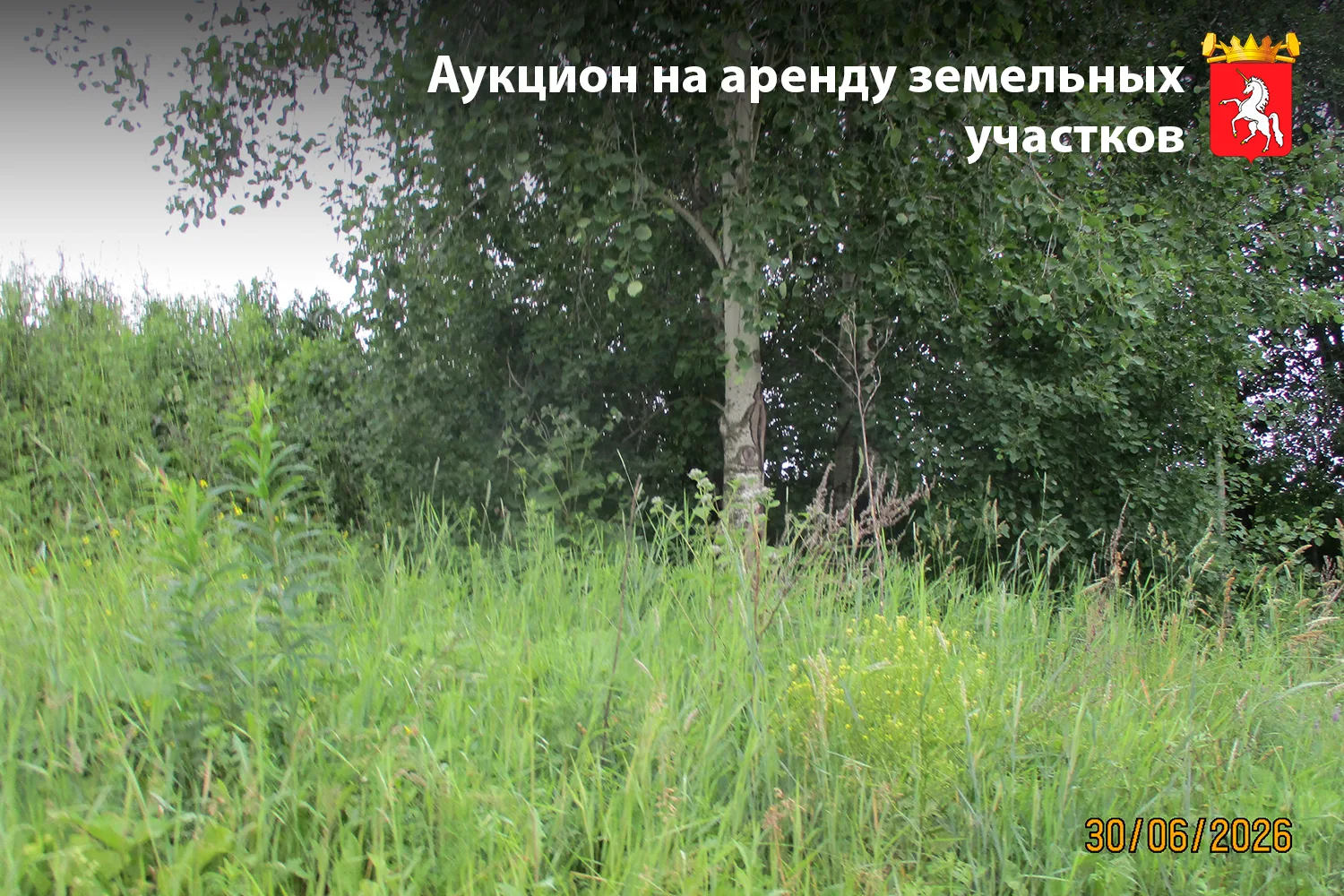 ⚡️ Аукцион на аренду земельных участков