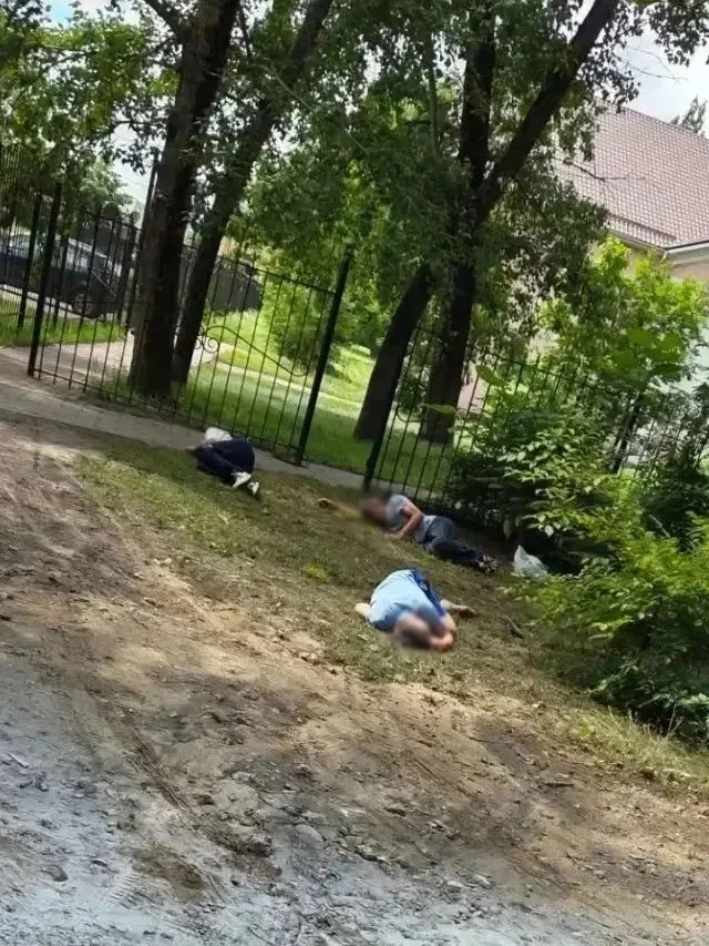 В Придонском после дождя грибы повылазили.😬