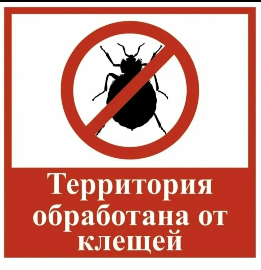 ‼️ОБЪЯВЛЕНИЕ‼️