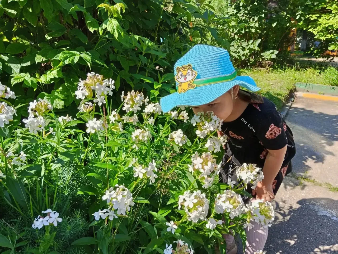 Малыши на цветочной поляне 🌺