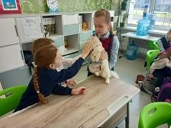 🟢Уроки с родителями! В 1В классе провела урок мама лицеистки Ковалёвой Алисии — Алла Алексеевна. Алл