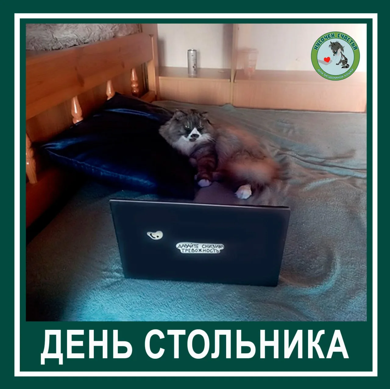 Дорогие друзья, мы желаем всем удачного начала рабочей недели. Сегодня понедельник, а это значит, чт