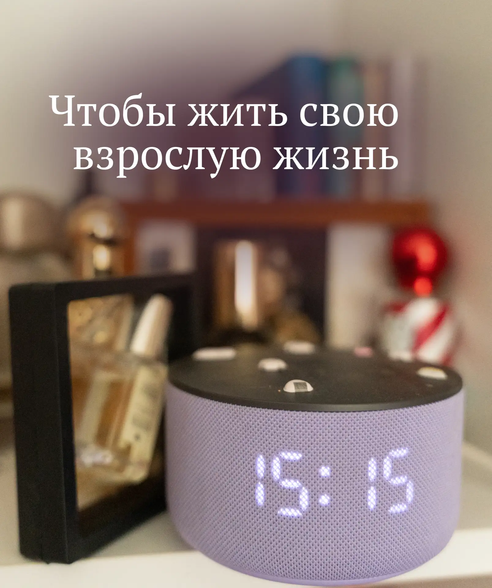 ЧТОБЫ ЖИТЬ СВОЮ ВЗРОСЛУЮ ЖИЗНЬ

Чтобы жить свою взрослую жизнь, необходимо постоянно воспроизводить 