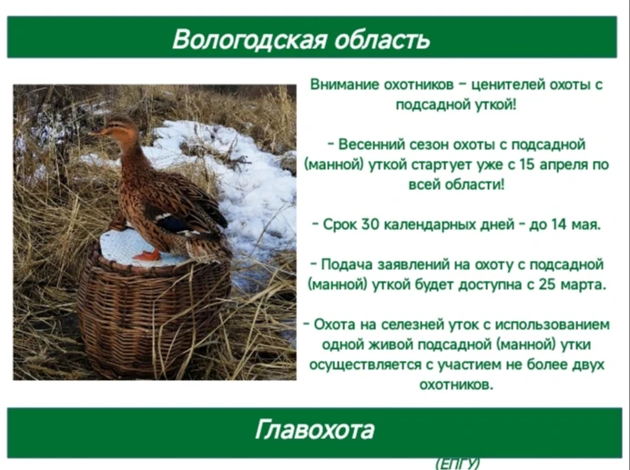 🔰Внимание охотники!