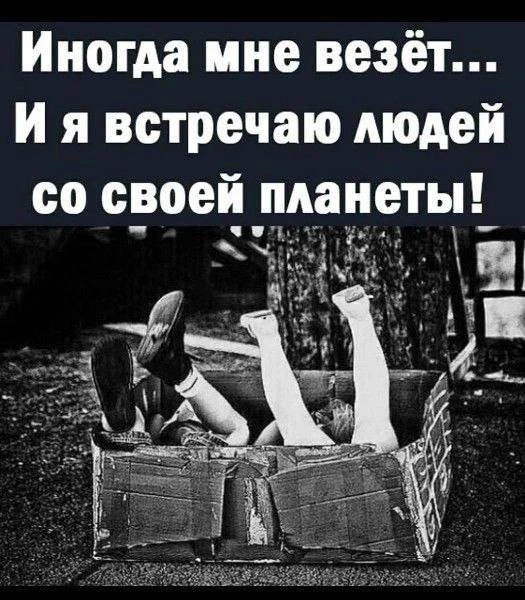 👉 Ёжка - Подписаться