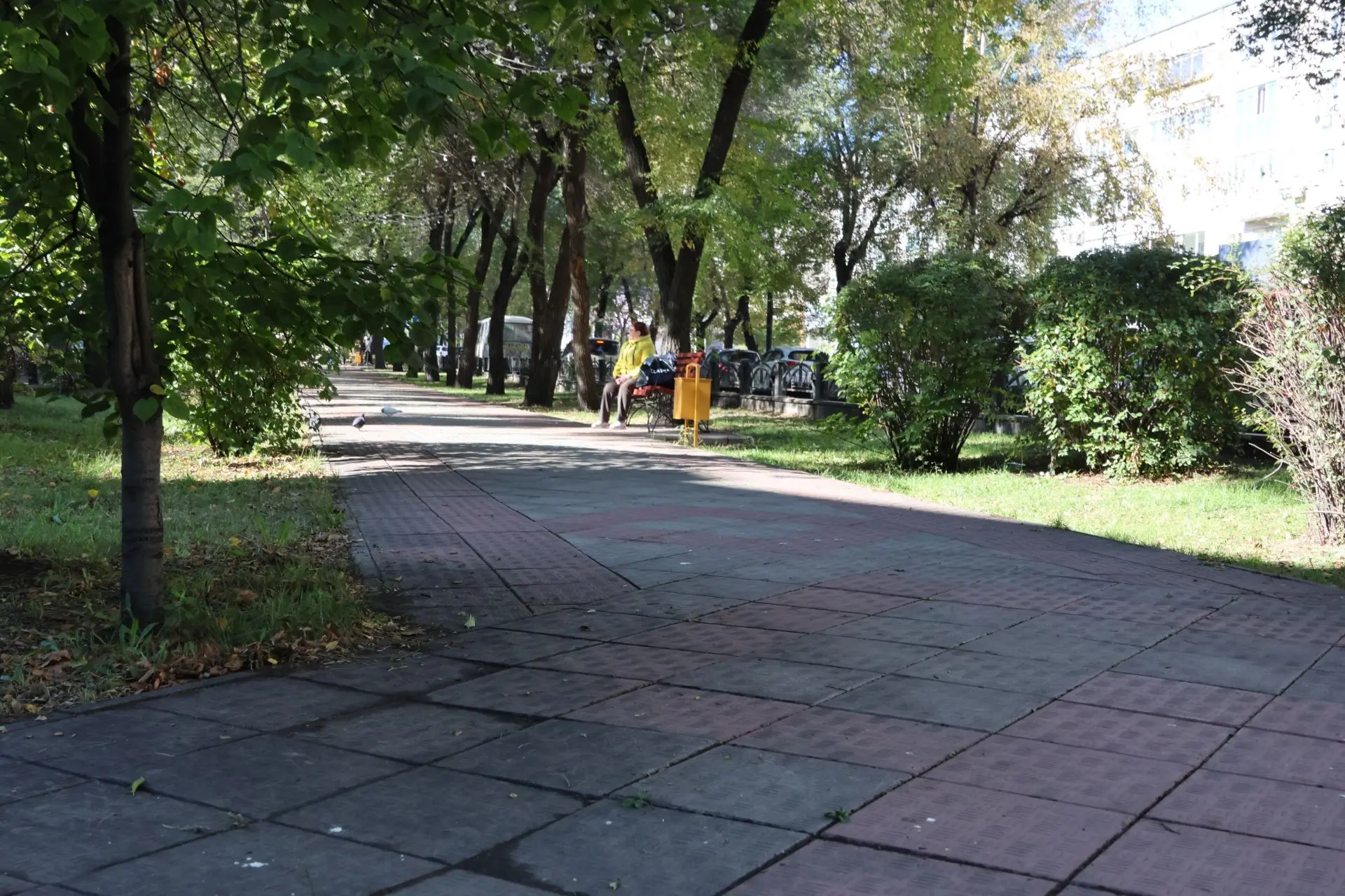 На участке проспекта Ленина от улицы Ивана Ярыгина до улицы Вяткина в 2027 году разверн...