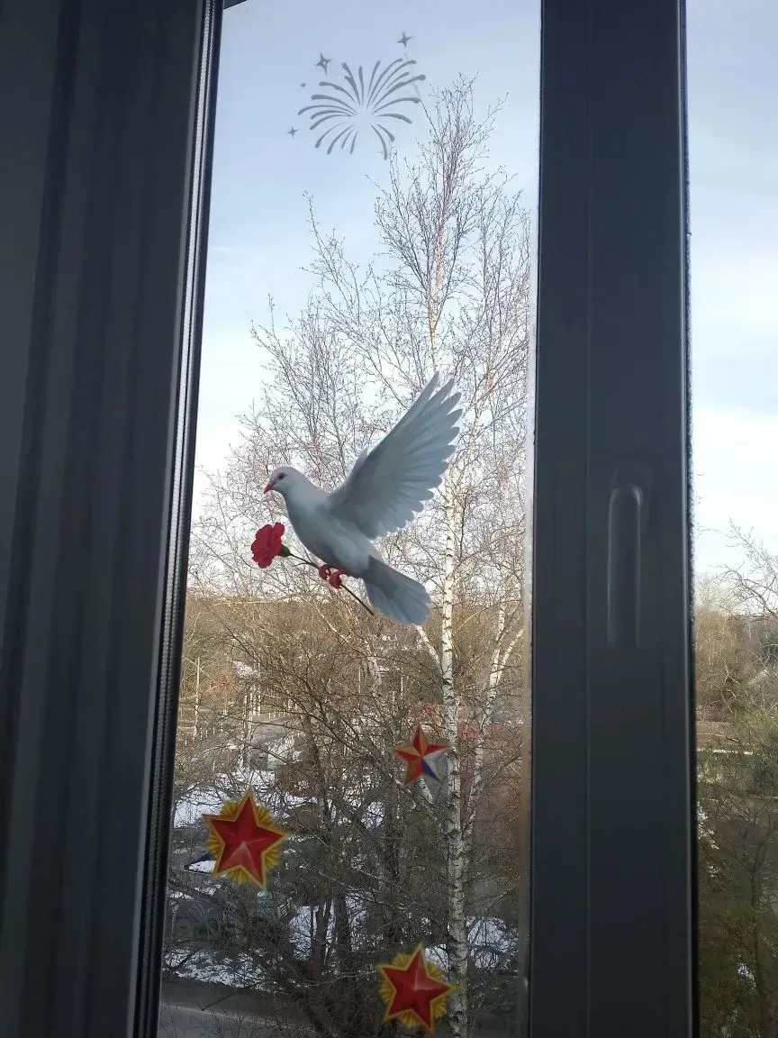 🕊️Ученик 5м класса со своей семьей приняли участие во Всероссийской акции «Окна Победы».
