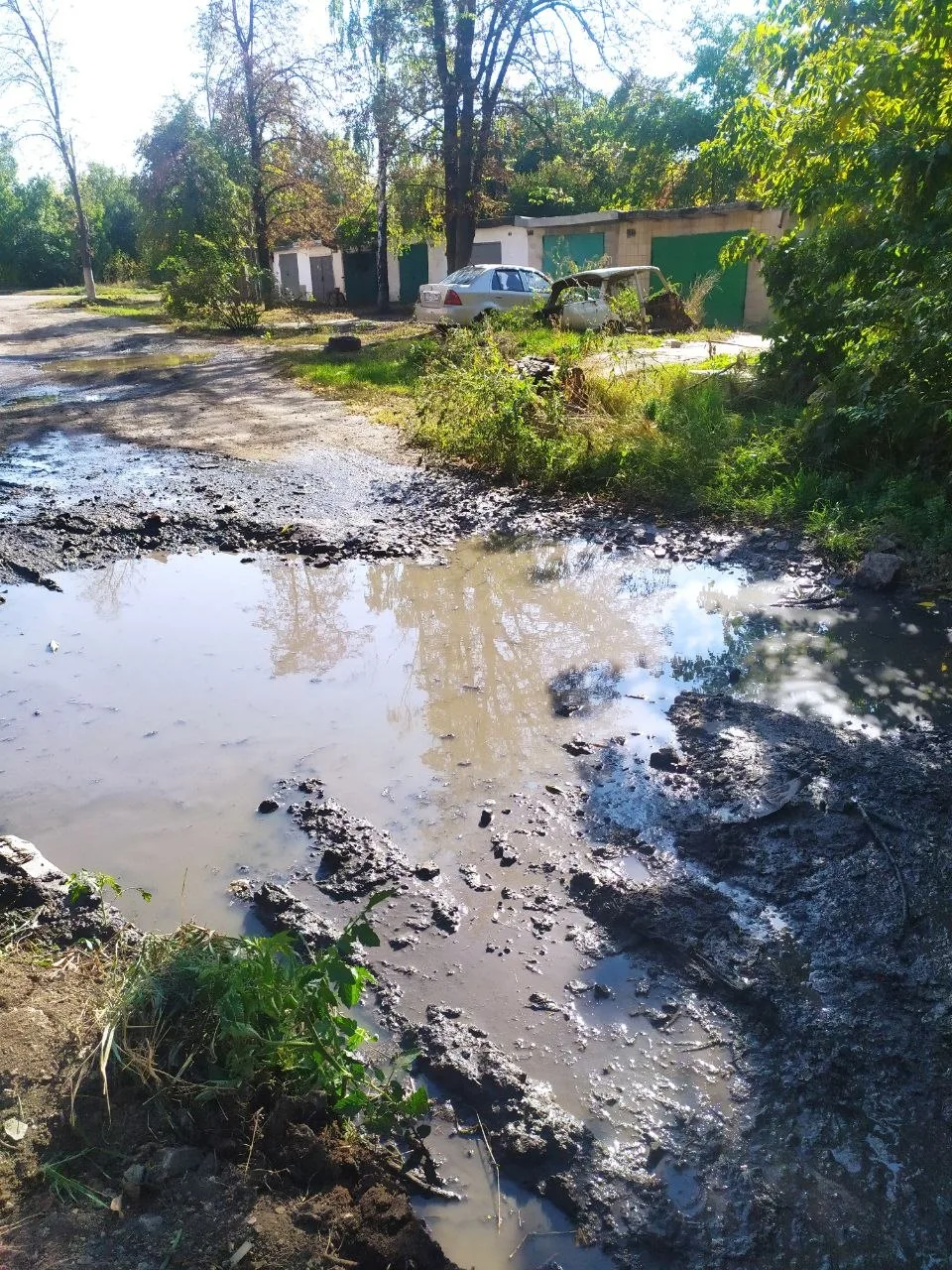 Посёлок Объединённый: дорога к мусорным бакам