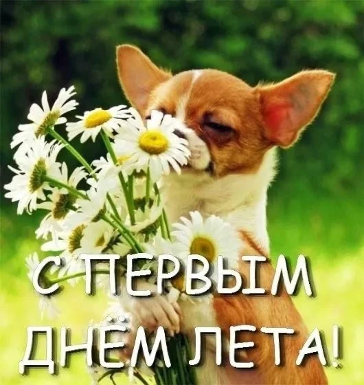 С первым днём лета! 🌿
