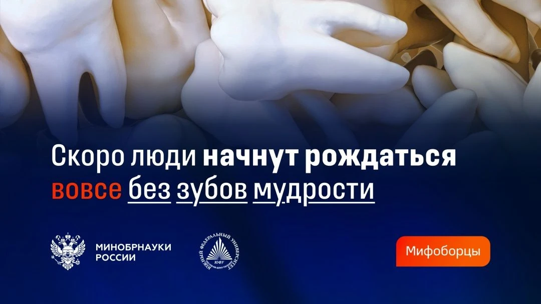 Скоро люди начнут рождаться без зубов мудрости?

Экспертным мнением поделилась Оксана Кундупьян, доц