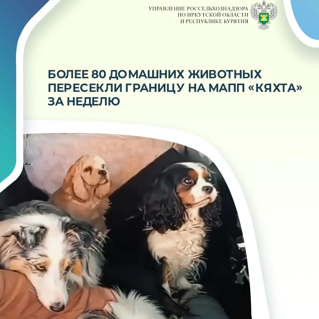 С 8 по 14 июня 2026 года специалистами отдела ветеринарного и фитосанитарного контроля на государств