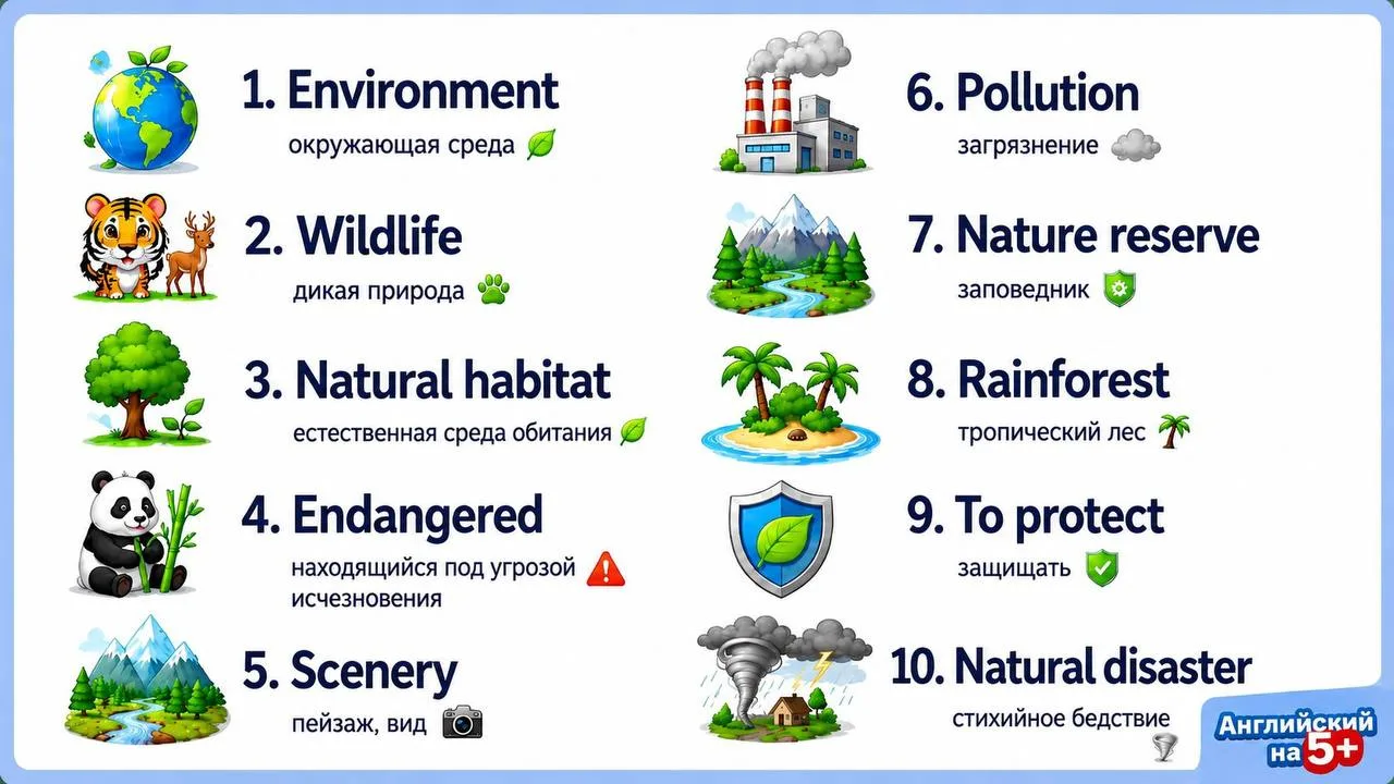 🌍Тема: Nature - природа. 7 класс
Сегодня тема посерьёзнее. 

Словарь ребенка в английском языке дол