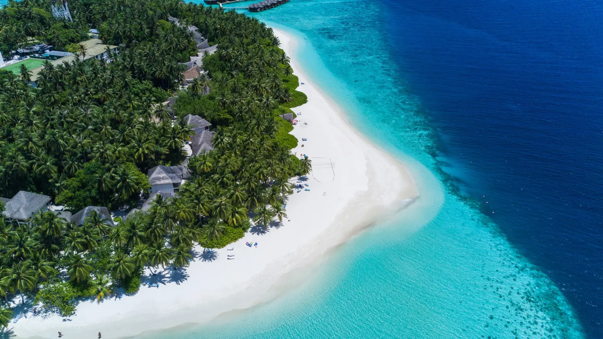 🌟 Шок цена на Мальдивы. Всего 45 минут на скоростном катере и вы на острове🏝️