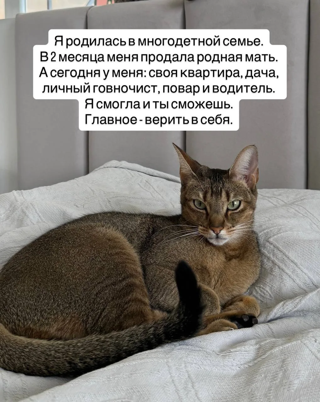Аффирмаций вечерних немного вам от Аси.