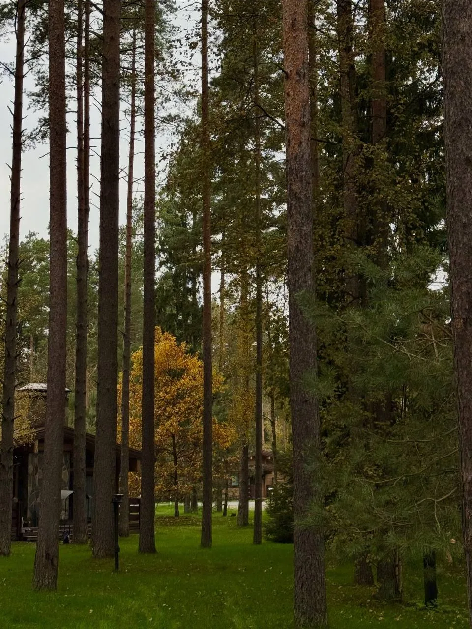 😍 Осеннее настроение царит в Охта-парке