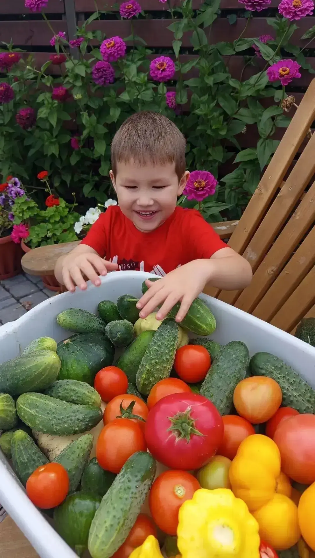 🫛🍅🌶 Во саду ли в огороде! 🍓🥬🥒🥔🥕