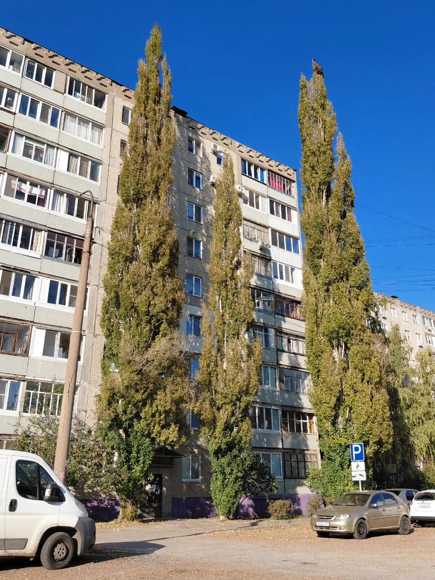 Автор: