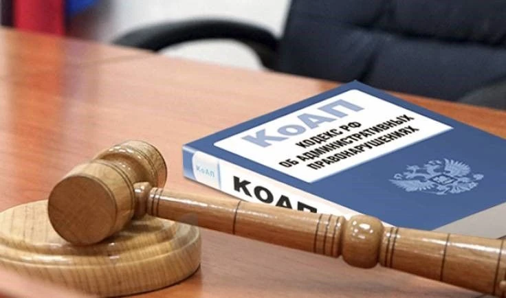 Комитет в рамках осуществления внутреннего государственного финансового контроля и конт...