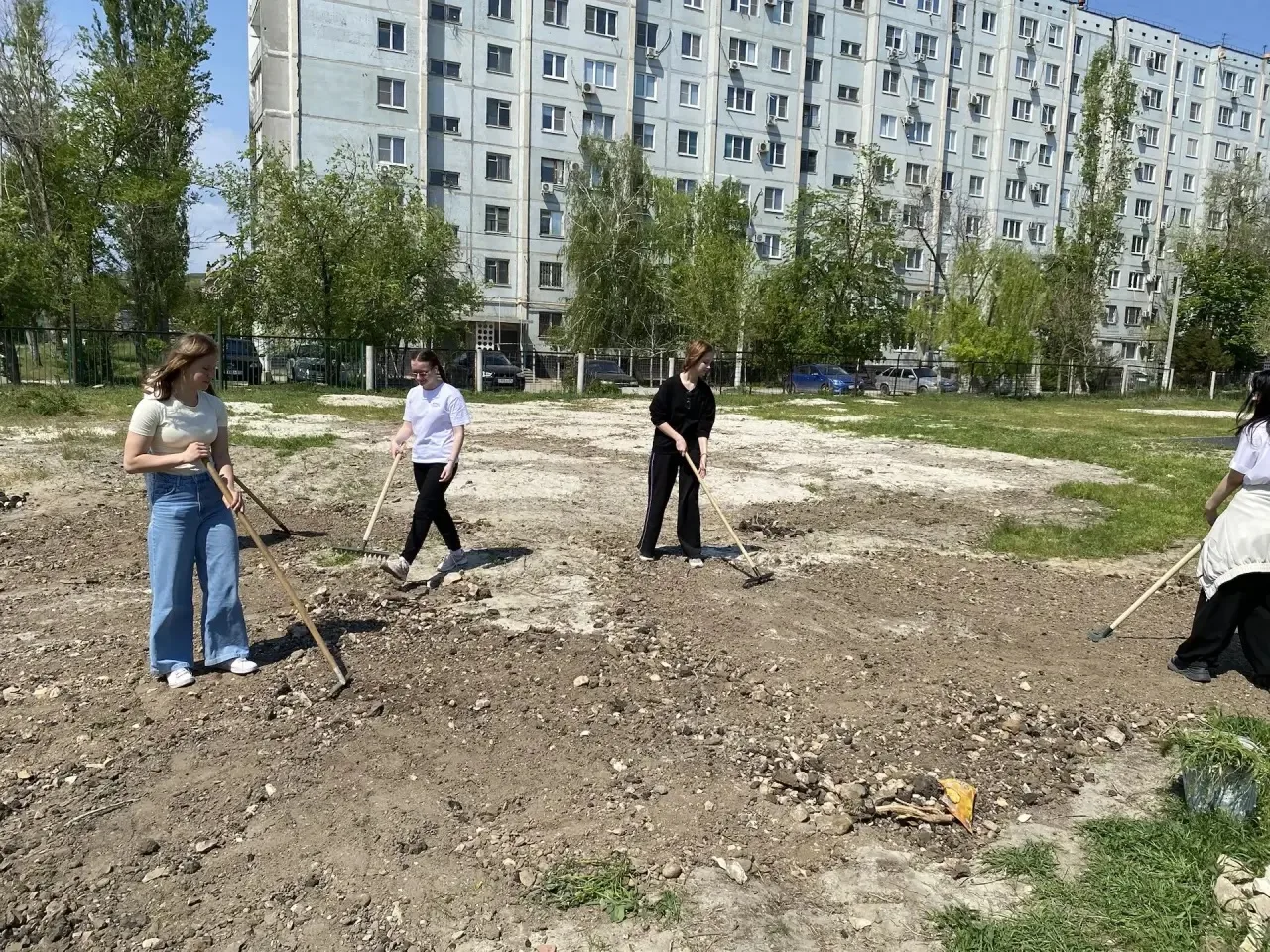 🌱✨ А мы продолжаем благоустраивать наш школьный двор! ✨🌱  Сегодня за дело взялись ученики 9‑х, 10‑х 