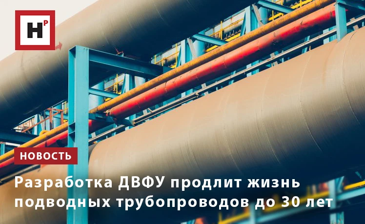 Ученые ДВФУ разработали новое поколение эластомерных уплотнительных материалов, способн...