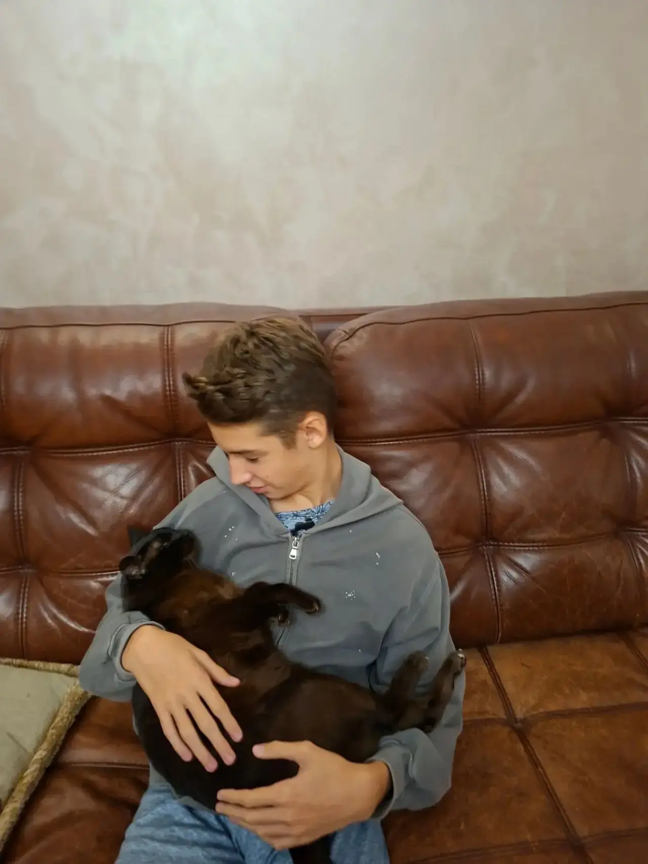 😺🐶Акция: «Моё сердце — их защита♥️»