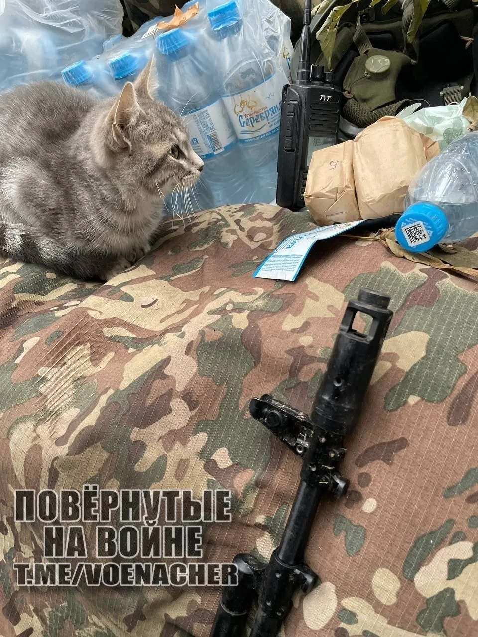 Доброе утро