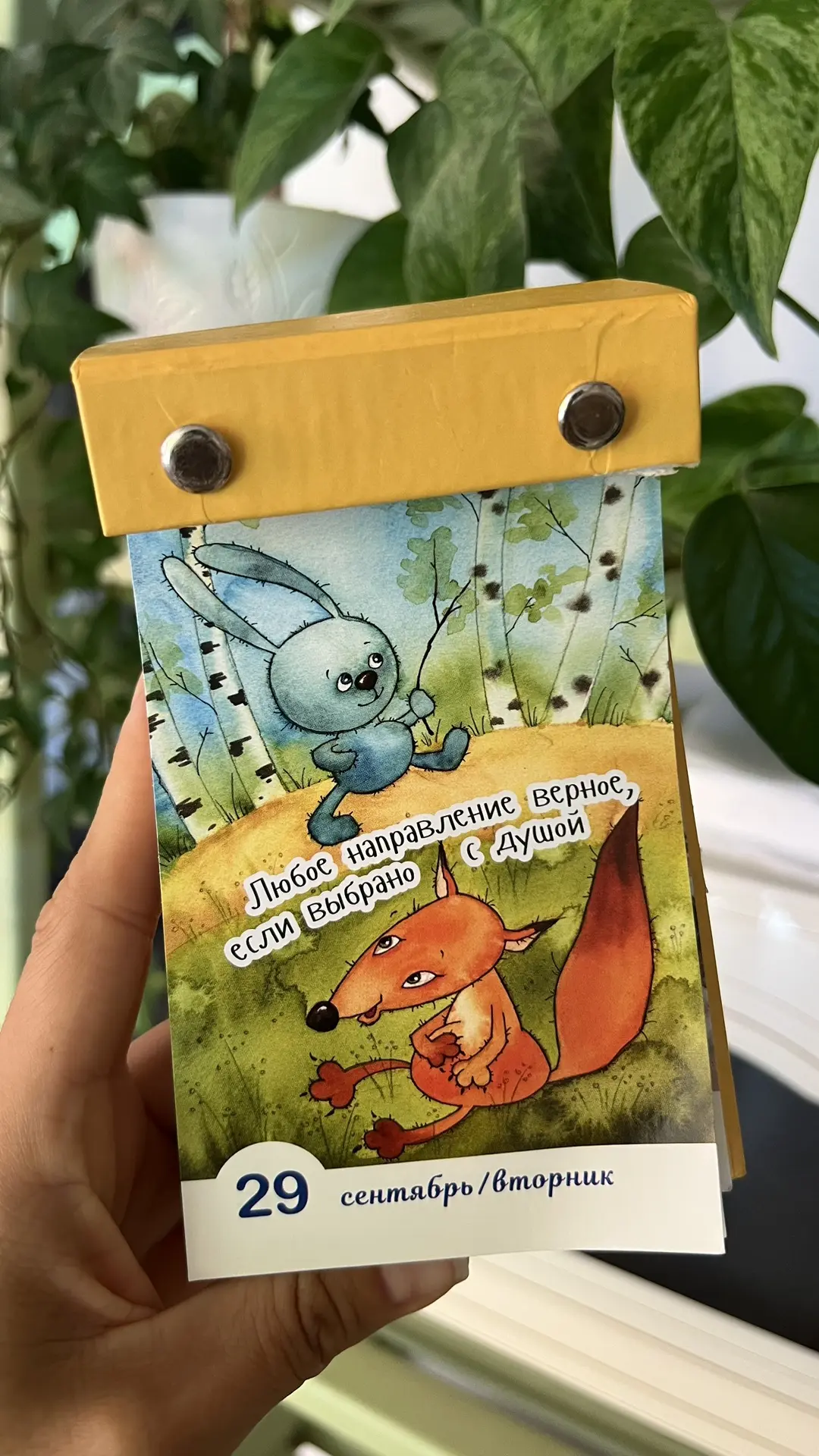Доброе утро, дорогие-любимые! 🌞 Ещё одна бессонная ночь прошла - у меня как песок в гл...