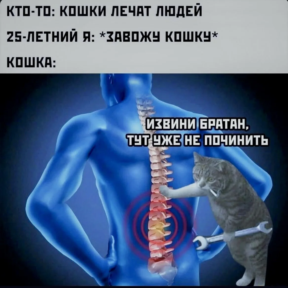 🏋️‍♂️ ПОЗВОНОЧНИК: ИНСТРУКЦИЯ ПО ЭКСПЛУАТАЦИИ 🦴