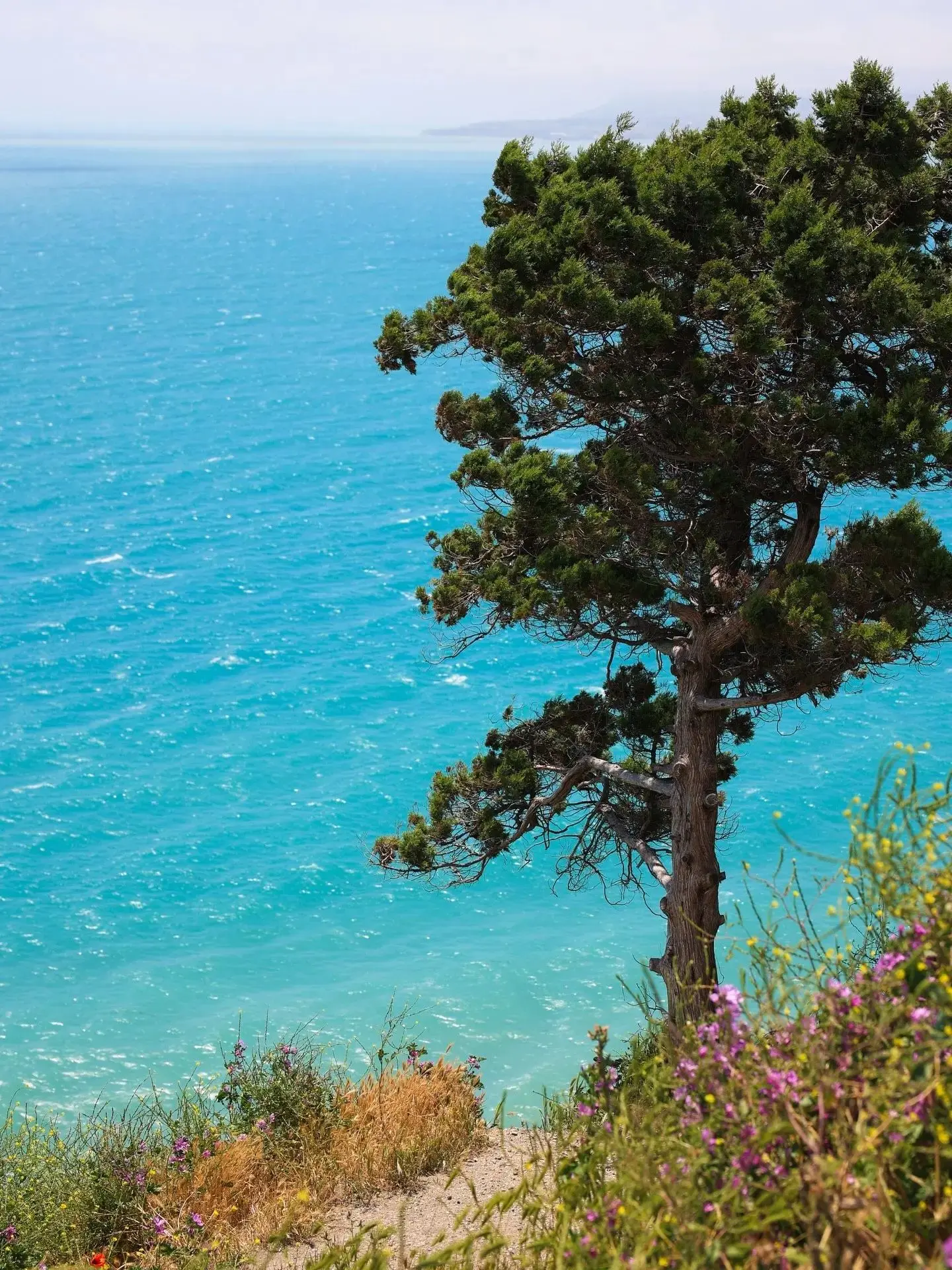 Яркие краски осеннего моря 🌊