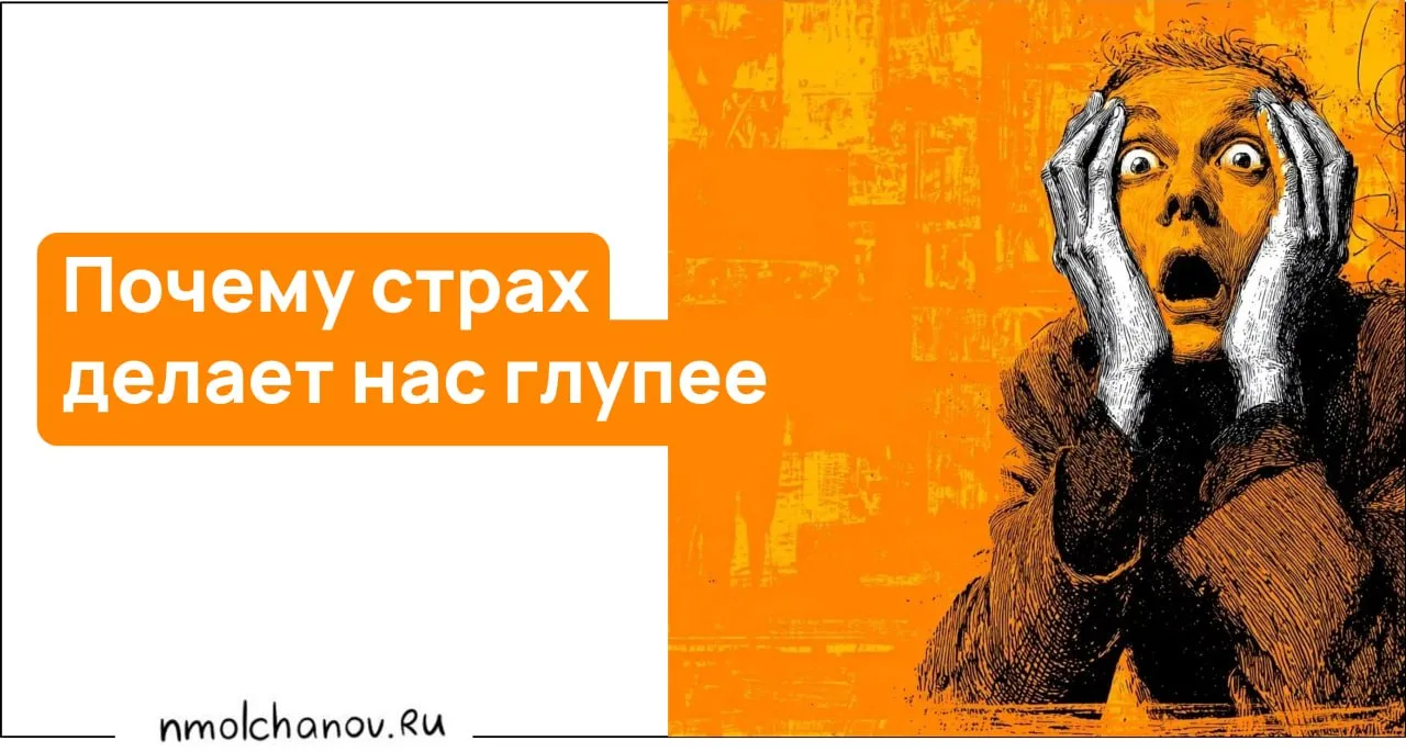 Всю жизнь мы вынуждены принимать решения. Самое главное, самое первое решение – родитьс...