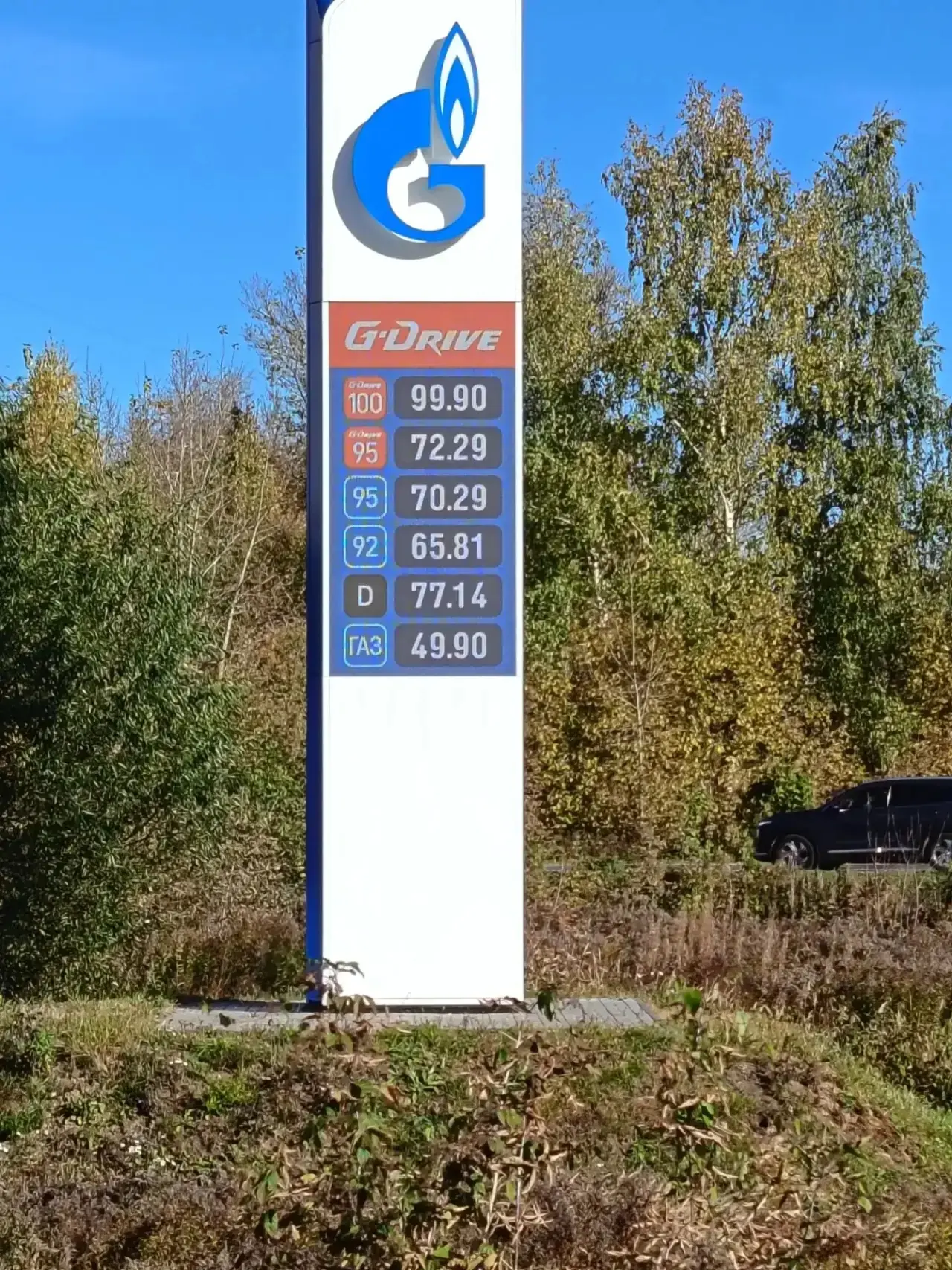 Газпром Цветы есть все, даже 100й