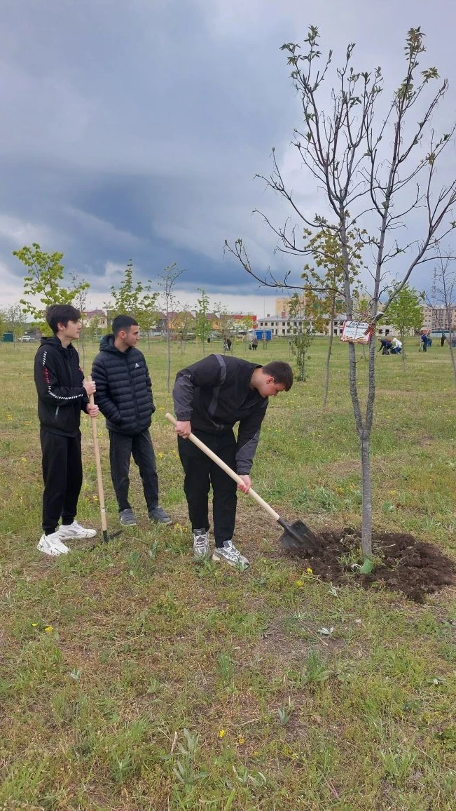 🌳 Студенты Ейского полипрофильного колледжа приняли участие в международной акции «Сад памяти».   🧹 