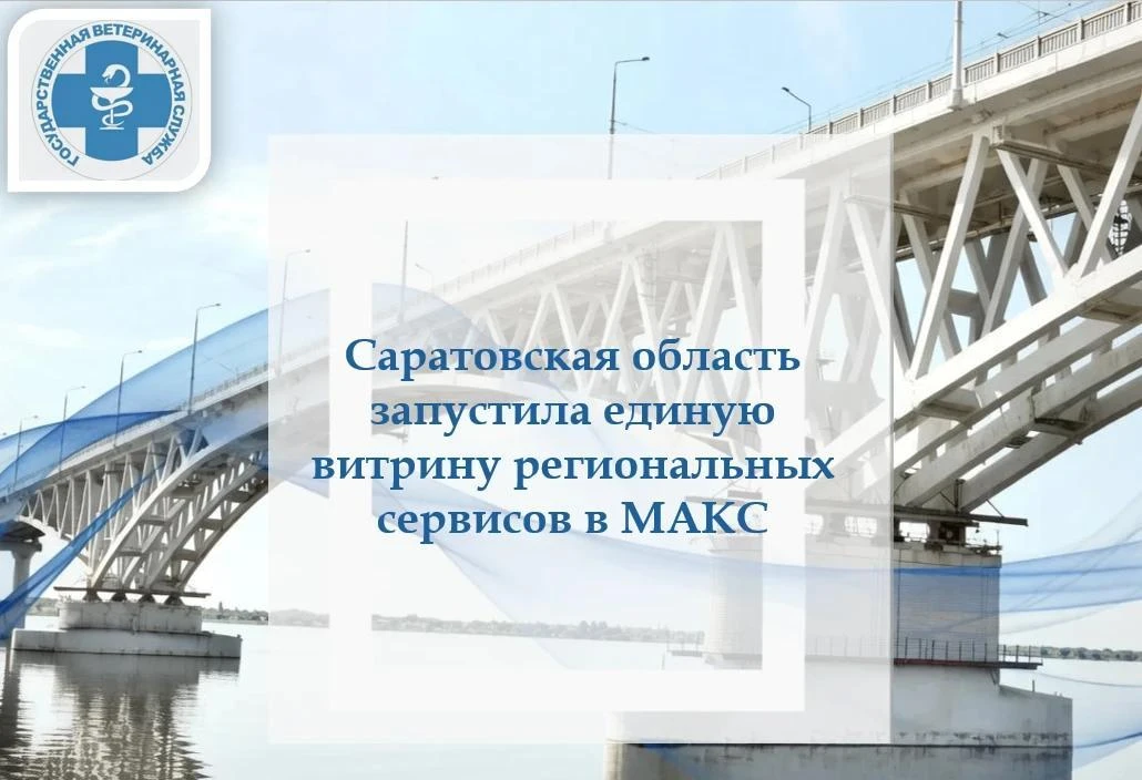Саратовская область запустила единую витрину региональных сервисов в МАКС