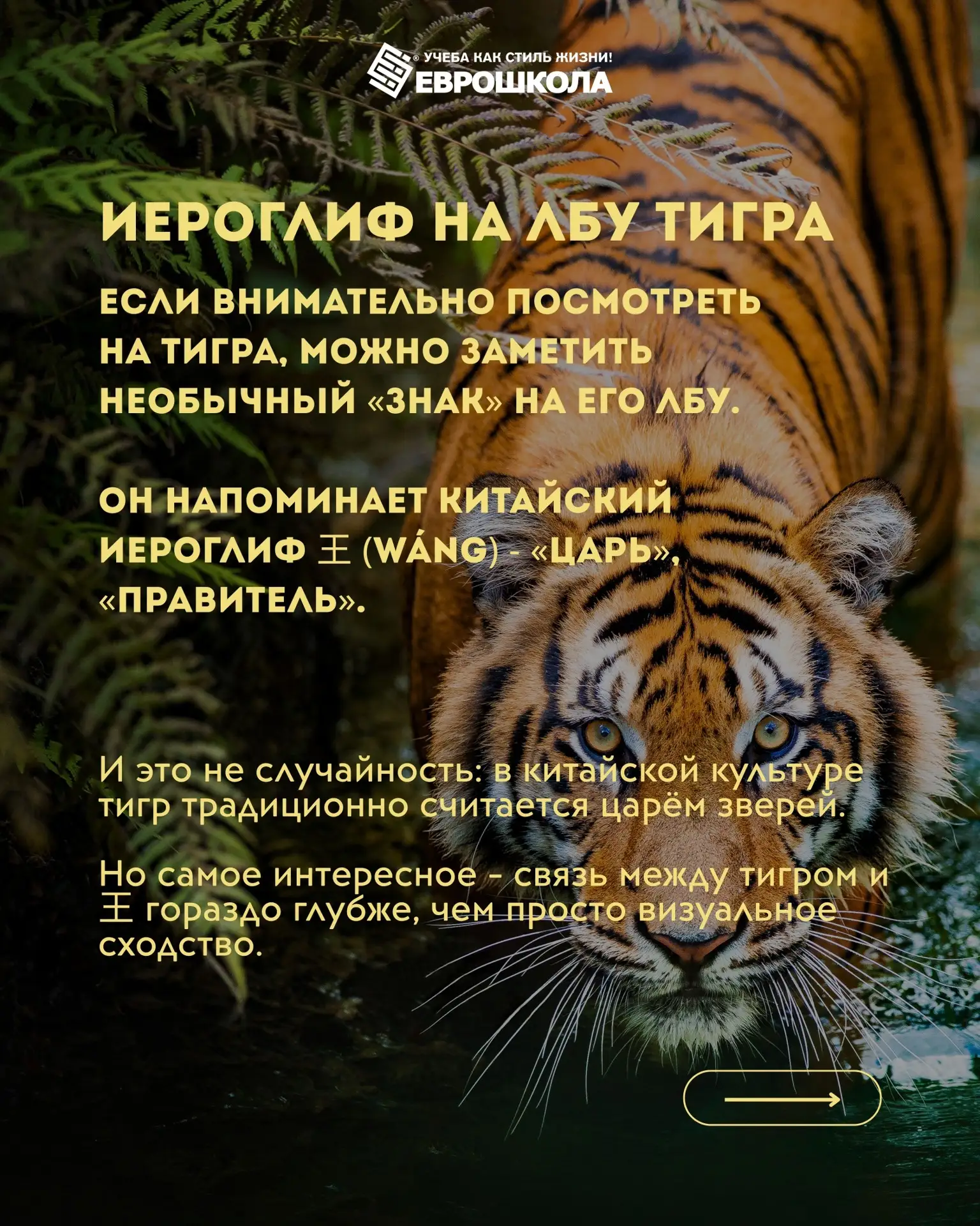 Совсем недавно в одной интеллектуальной передаче мы увидели вопрос про этот иероглиф, а...