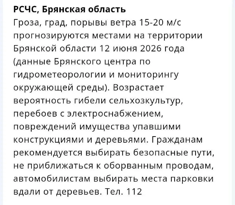 Грозы, град и шквалистый ветер накроют завтра Брянскую область