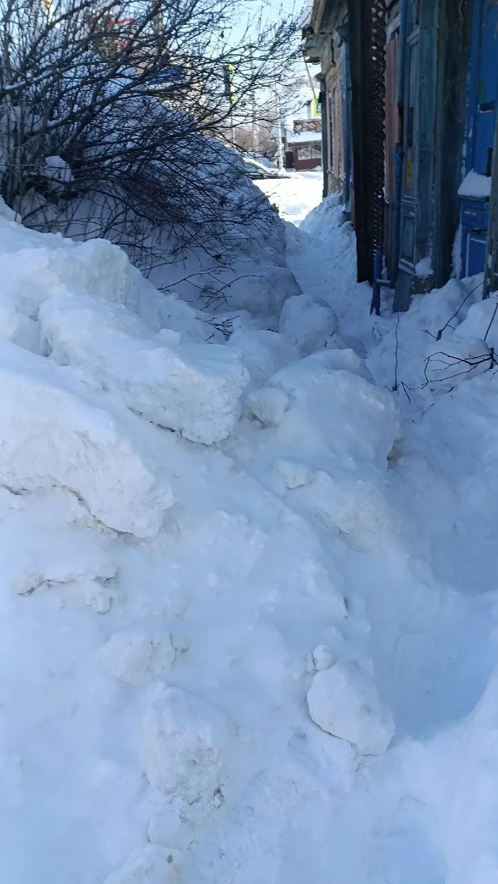 Тротуары в Арзамасе не лучше дорог 🤬  Такое чувство, что у нас заброшенная деревня, а не процветающи