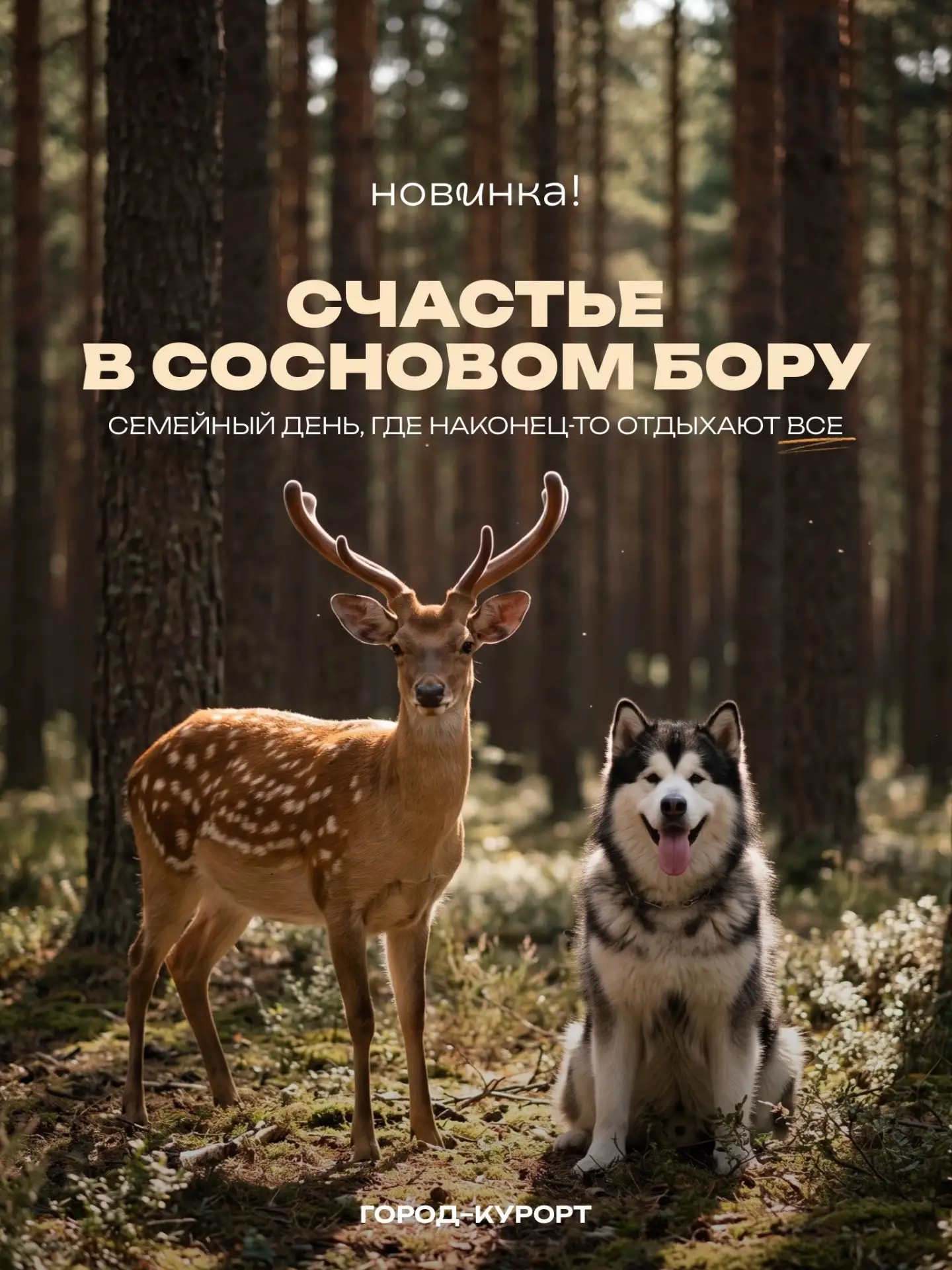 🌲 Семейный день в лесу