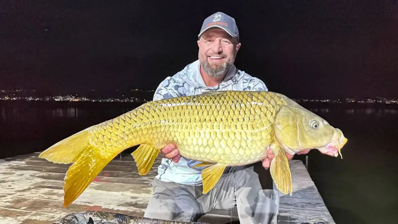 🐟 «НАКРЫВАЕМ СТОЛ» ДЛЯ КАРПА В АВГУСТЕ 🎣
 
📍 В конце лета, в регионах, где ночная прохлада уже да