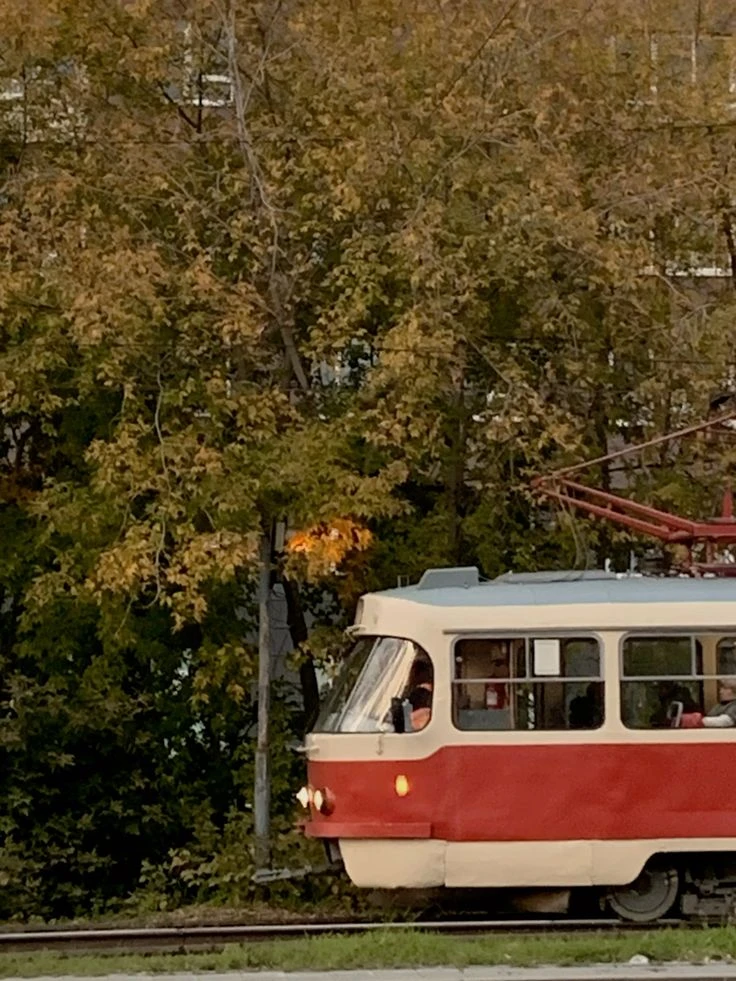 🚋 Трамваи в Ленинском снова будут ходить весь день