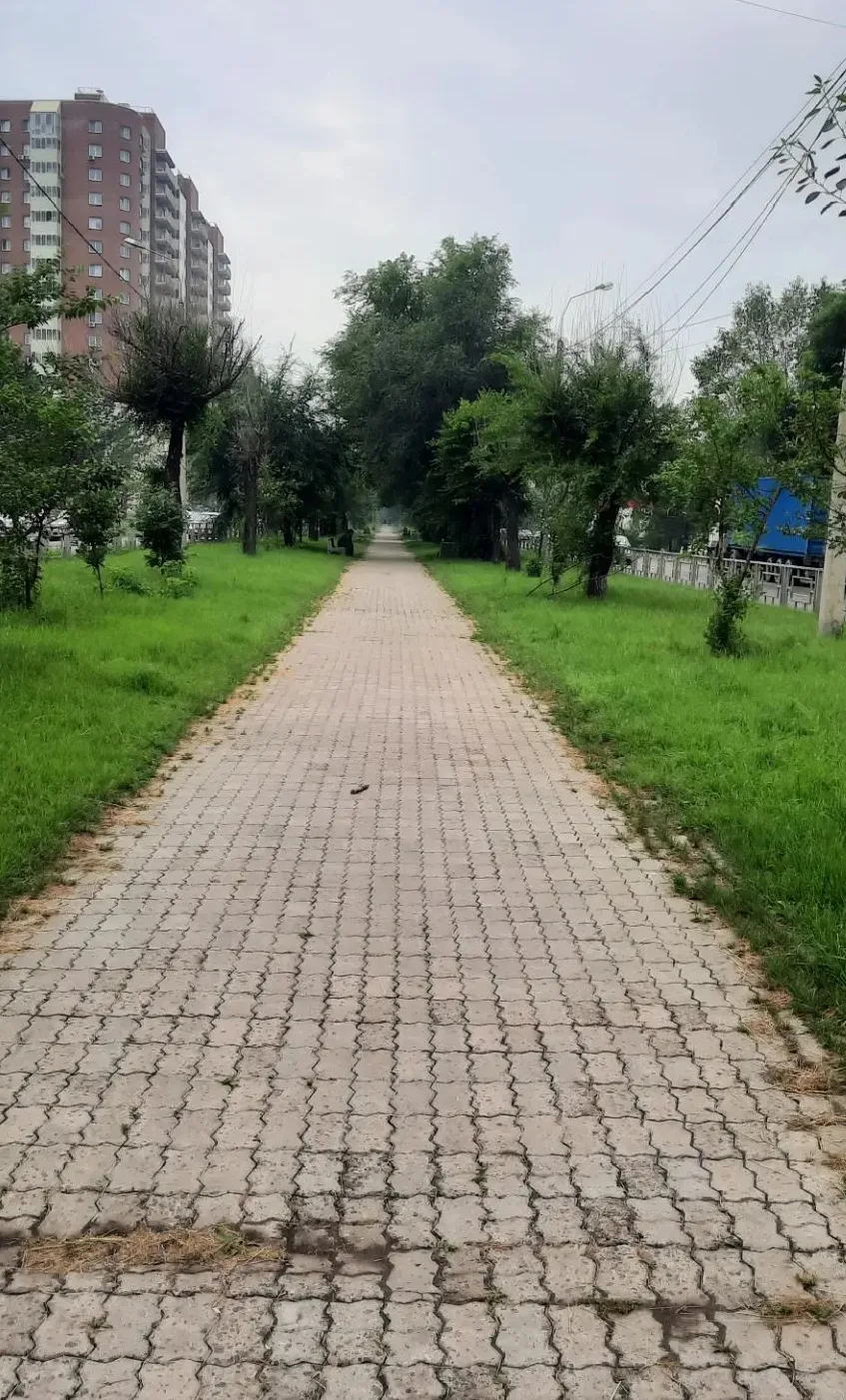 ‼️Два дня остаётся до урбан-форума по благоустройству бульвара Ботанический 

Бульвар Ботанический з