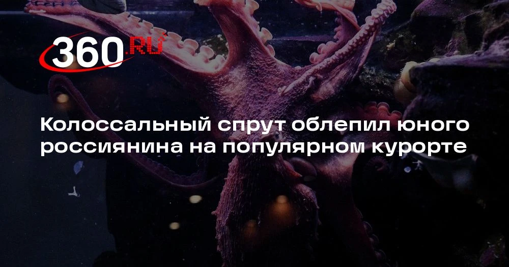 🐙 Осьминог обвил подростка на мелководье у Бодрума