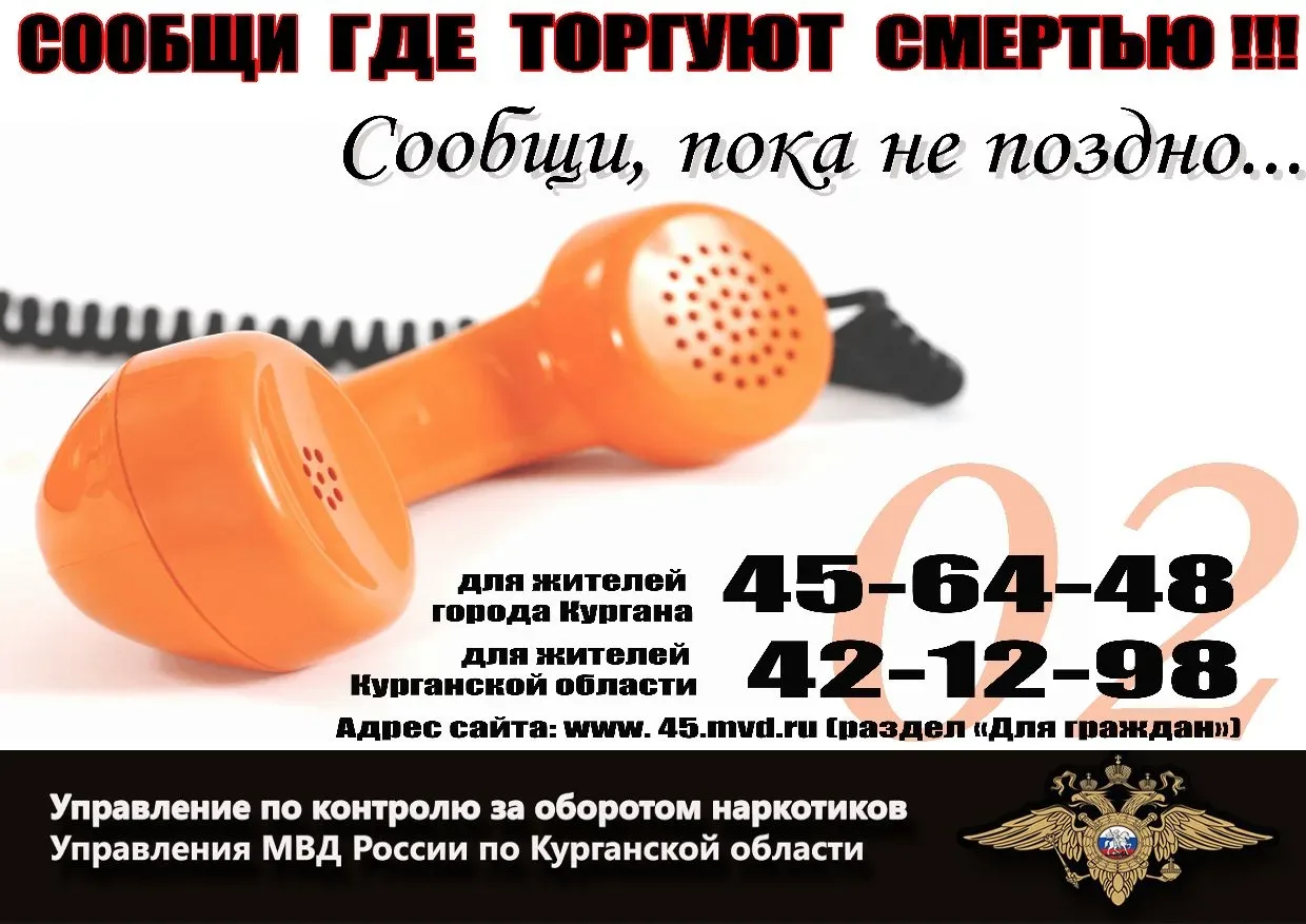 В Курганской области с 20 апреля по 1 мая 2026 г. проходит первый этап Общероссийской а...