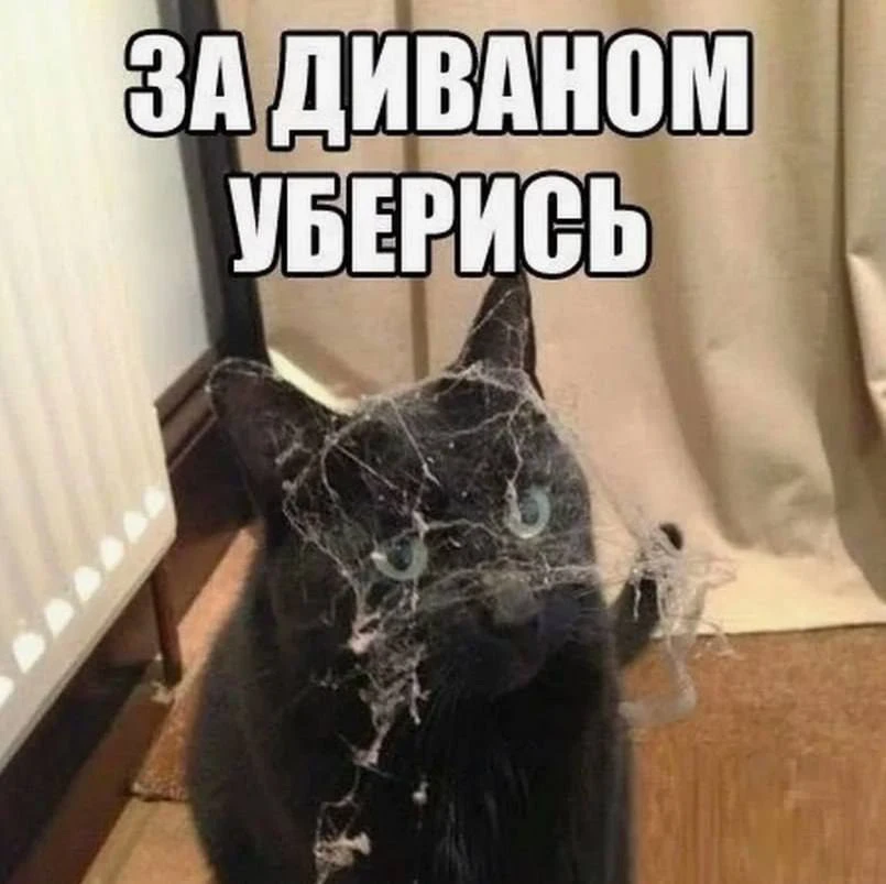 Ни на что не намекаю, а прямо говорю