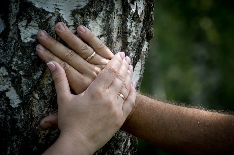 💍 Куряне могут пожениться в филармонии и на Полугоре