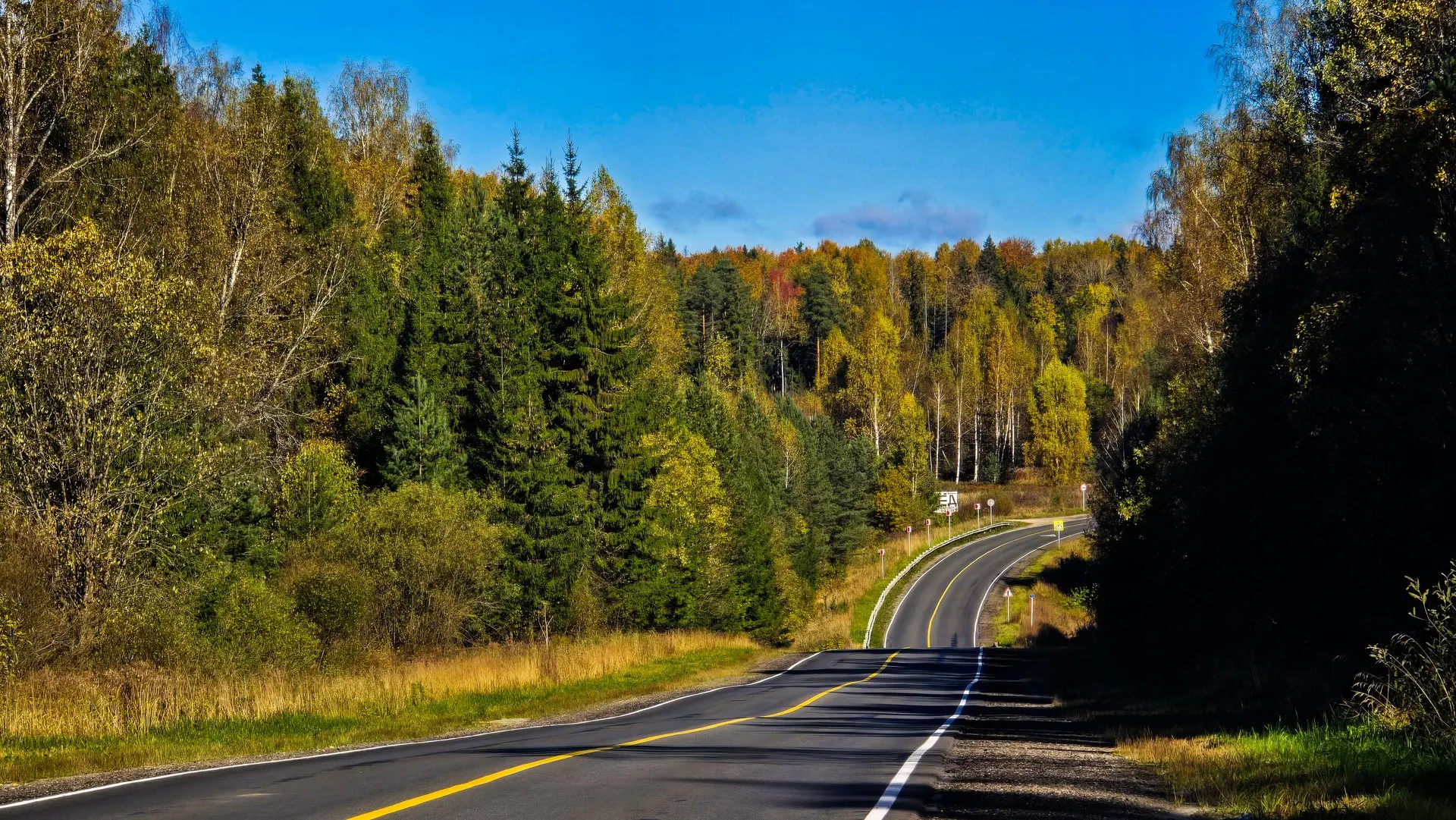 🍂☀ЗОЛОТАЯ ОСЕНЬ НА МЕСТНОЙ ТРАССЕ: СВЕЖИЙ АСФАЛЬТ, ЖЕЛТЫЙ ЛЕС И НИ ОДНОЙ ЯМЫ!