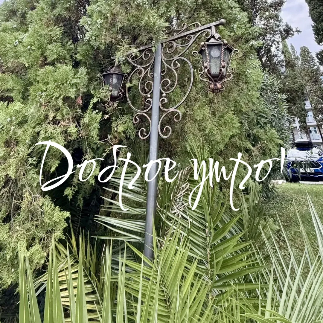⚡️ УЗНАЙ ПЕРВЫМ🌍✈️
