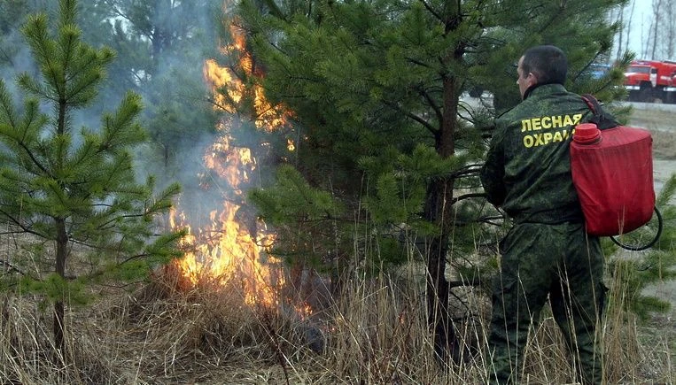 👇ПАМЯТКА НАСЕЛЕНИЮ ПО ДЕЙСТВИЯМ ПРИ ВОЗНИКНОВЕНИИ ЛЕСНОГО ПОЖАРА