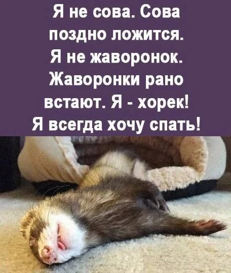 Три Подружки